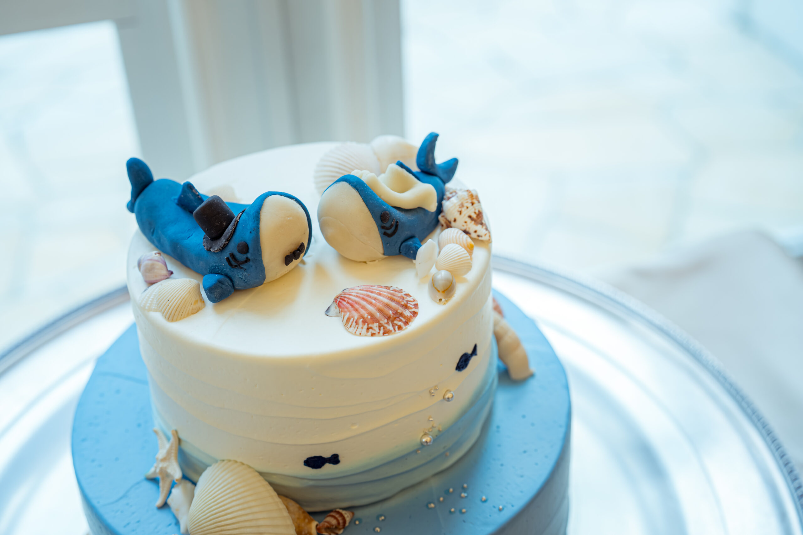 テーマは水族館